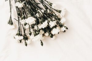 Forget Me Not